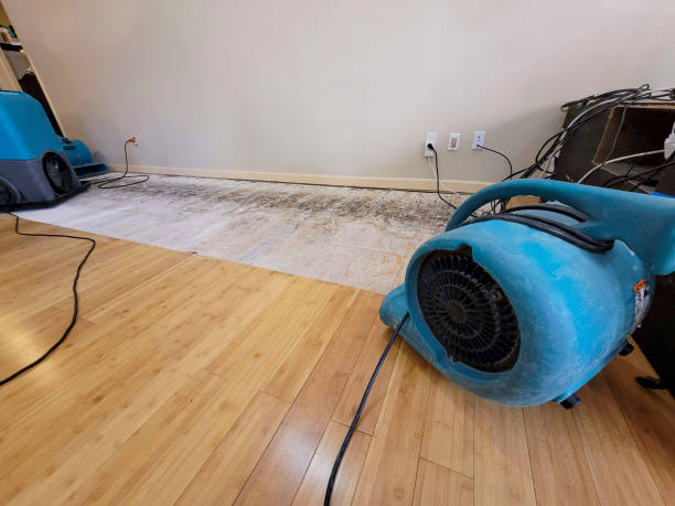 Professional Basement Flood Cleanup technician working in Rockwell City, IA